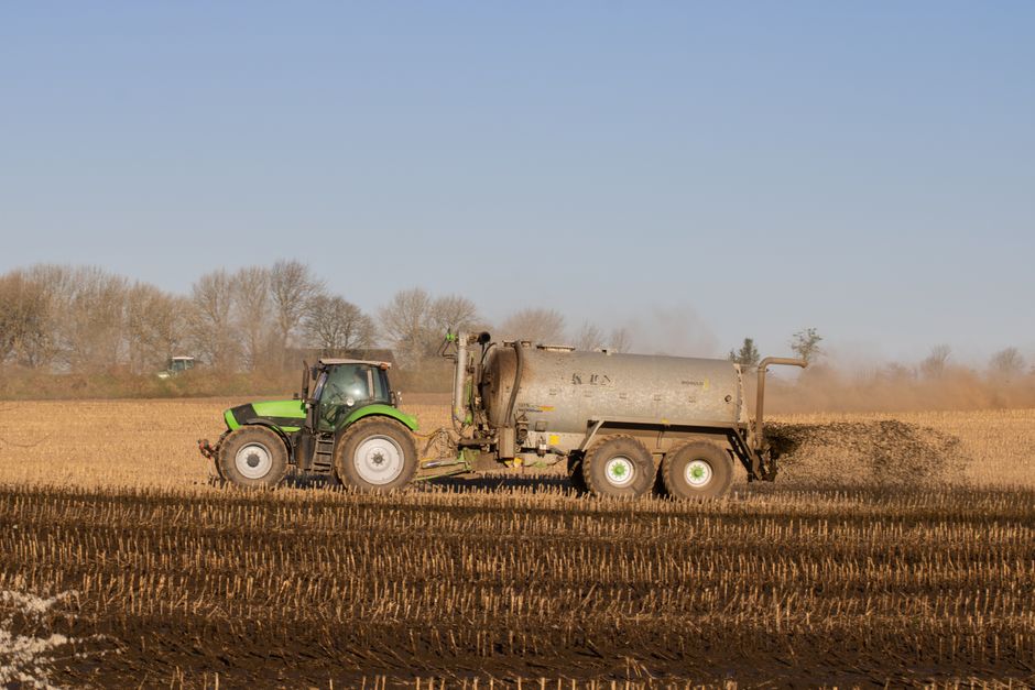 Landscaper spreading lawn fertilizer on green grass