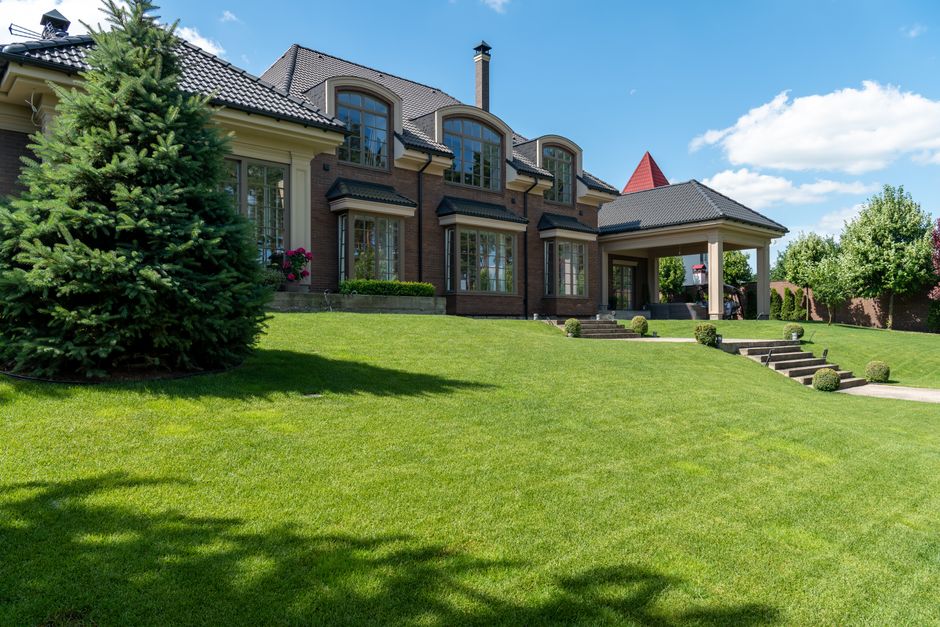 Perfectly manicured green suburban lawn showing expert landscaping